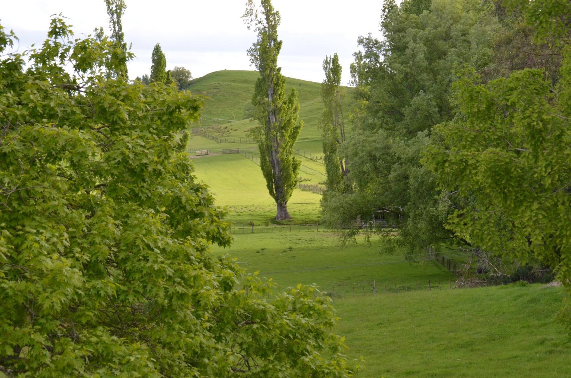 Ashcott Homestead Bed&Breakfast Takapau Eksteriør bilde